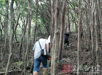 效地扭著走（有點(diǎn)像競走），可以促進(jìn)排便