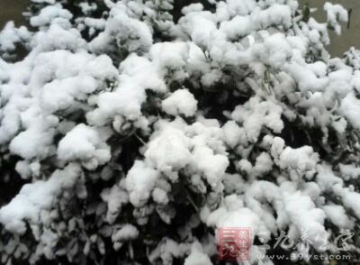 冬半年”历史大暴雪，西部、北部山区交通受