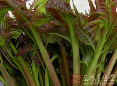 香椿芽營養(yǎng)豐富，香氣獨特，是深受人們青睞的時鮮蔬菜