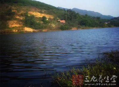 河道水流较深时，常会出现漩涡