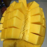 芒果的功效与作用 吃芒果有减肥瘦身的功效