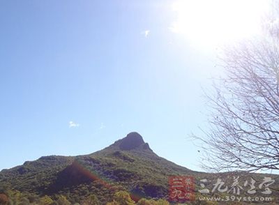 炎炎夏日,易中暑、虚脱,引发皮炎 炎炎夏日,易中暑、虚脱,引发皮炎