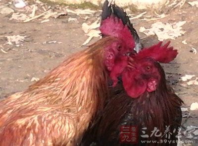 关于做好2016年畜禽屠宰行业管理工作的通知