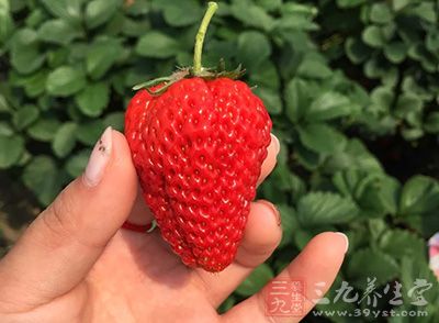 专家称草莓小柿子致小孩拉肚发烧为误传