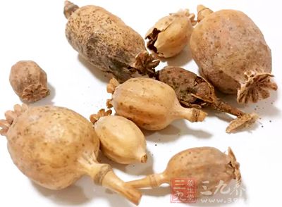 靠罂粟壳熬出招牌菜 无锡3人因制售有毒食品获