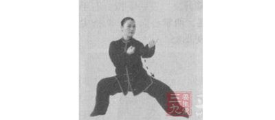 陈式太极拳 陈式太极基本功之掩手肱捶