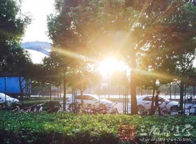 炎热的天气总是让我们容易出汗 炎热的天气总是让我们容易出汗