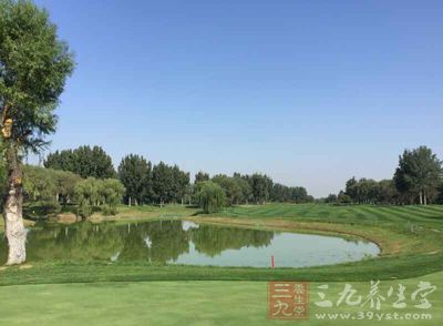 四成的推杆时是在果岭推杆区域进行的 四成的推杆时是在果岭推杆区域进行的