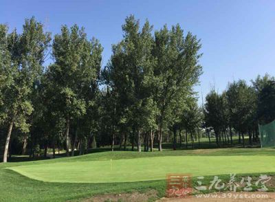 站在球杆后面，正对目标，仔细瞄准