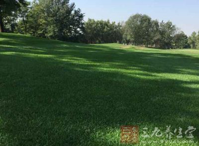 铁杆也可以,但是二三十码的短切球(APPROACH)却鸦鸦乌 铁杆也可以,但是二三十码的短切球(APPROACH)却鸦鸦乌