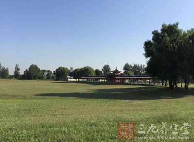 一些技术熟练的球手知道如何将球打进球洞并降低杆数 一些技术熟练的球手知道如何将球打进球洞并降低杆数