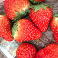 草莓的功效与作用 常吃草莓能益气养血