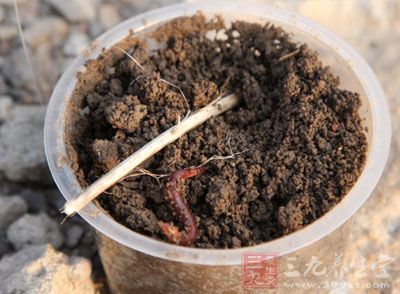 野钓大师速成技巧