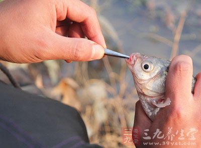 你垂釣時魚會經(jīng)常脫鉤嗎