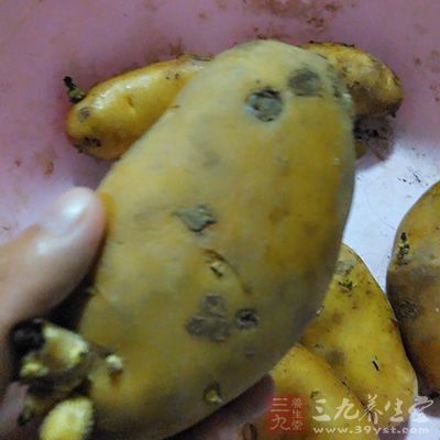 马铃薯是家庭餐桌上经常食用的蔬菜之一
