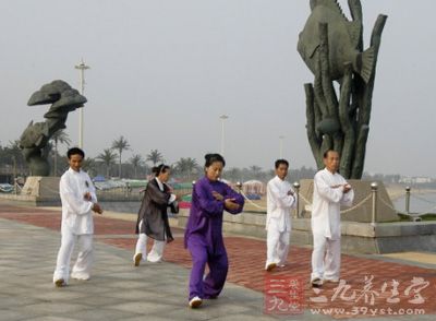 才不必以太極拳拳架為基礎(chǔ)