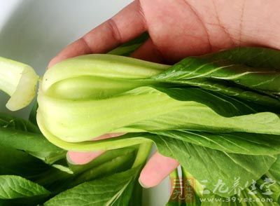 油菜的营养价值 常吃油菜能预防肠道肿瘤-三九