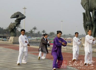 中国武术 中国武术的现状以及两大拳系