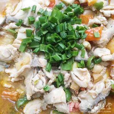 吃鱼要吃对部位才更健康 吃鱼要吃对部位才更健康