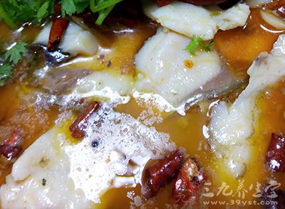 鱼因品种不同 鱼因品种不同