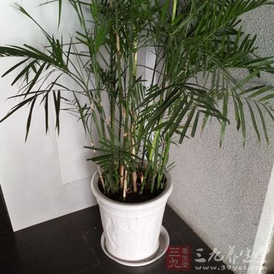 它的高蒸发速度可以防止鼻粘膜干燥，使患病的可能性大大降低