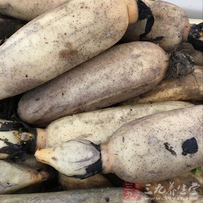 女人多吃藕的好处 女人多吃藕的好处