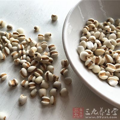 薏米有利水消肿、健脾去湿、舒筋除痹 薏米有利水消肿、健脾去湿、舒筋除痹
