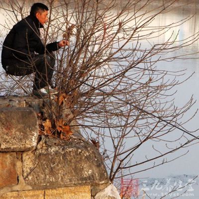 釣青魚如何選擇釣位