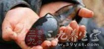 这种鱼太脏了处理不好不要吃