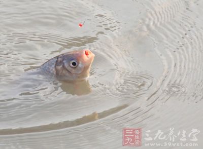 要根據(jù)上鉤魚兒的大小來決定后續(xù)溜魚