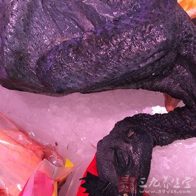 功效：乌鸡含有赖氨酸、蛋氨酸和组氨酸