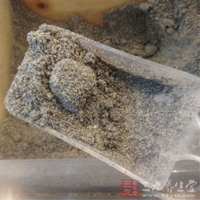 黑芝麻用食品加工机搅碎