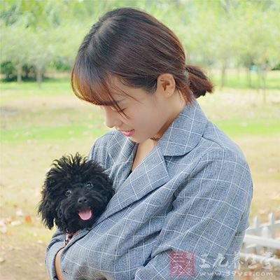 养狗比养猫更有好处 养狗比养猫更有好处