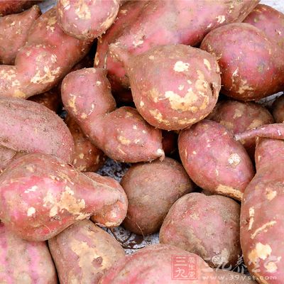 红薯含有大量黏蛋白，故能防止肝脏和肾脏结缔组织萎缩