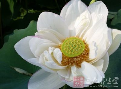 夏天到了，又是一個(gè)減肥的季節(jié)