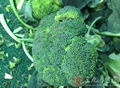 西兰花含有大量的维生素A、维生素C和胡萝卜素,对于提高皮肤抗损伤能力 西兰花含有大量的维生素A、维生素C和胡萝卜素,对于提高皮肤抗损伤能力