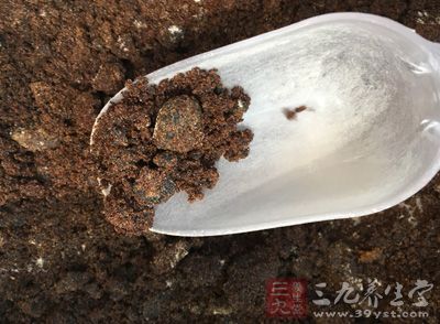 提前把姜切片，用砂锅熬水，待水烧开放入红糖，红糖融化以后，放入姜片，熬制十分钟即可