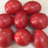 番茄的作用与功效 多吃番茄能够防癌