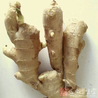 姜可以保护胃黏膜 姜可以保护胃黏膜