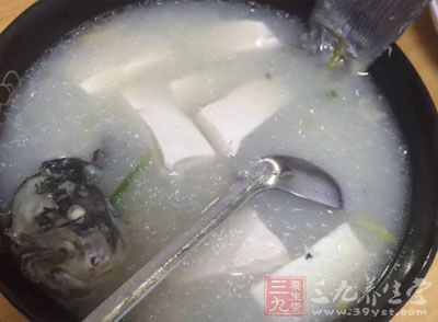 鯽魚豆腐湯