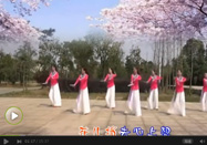 春英广场舞 流行风舞蹈桃花谣视频教学