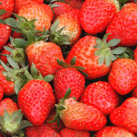 草莓的营养价值 多吃草莓美容又抗癌