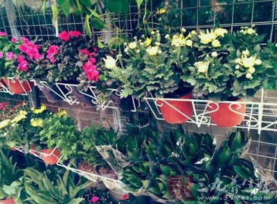 微小的花粉颗粒从各种树、草、花等植物中飞散出来 微小的花粉颗粒从各种树、草、花等植物中飞散出来