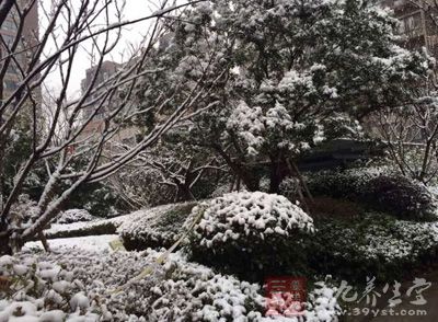 倒春寒一般发生在初春三月