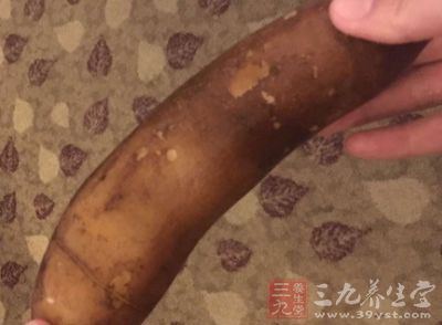 雪莲果的功效与作用