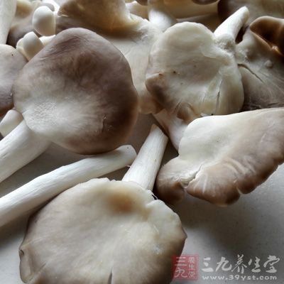 蘑菇当中含有人体必需的氨基酸、维生素、矿物质等