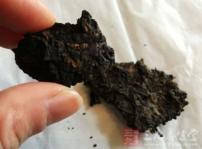 普洱茶可以沖泡很多道