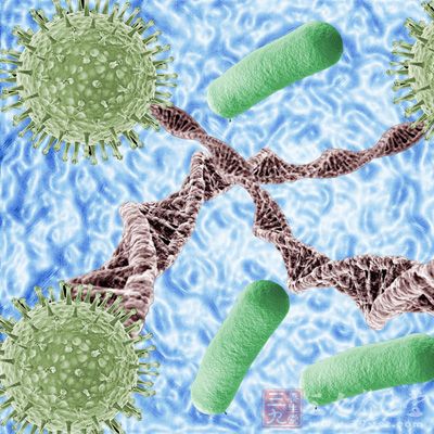 輸卵管會增粗、纖維化而呈條索狀