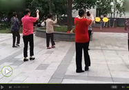 广场舞教学视频 优美舞蹈春天教学视频
