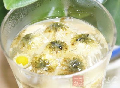 菊花茶怎么泡